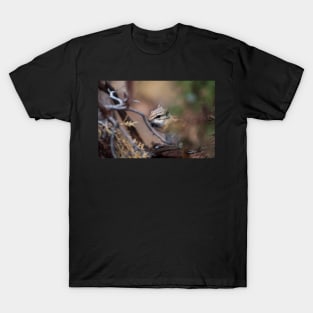 In the Tree T-Shirt